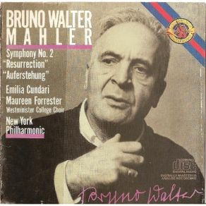 Download track Allegro Maestoso Gustav Mahler