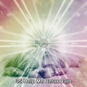 Download track The Perfect Thundering Meditation Rain Sounds