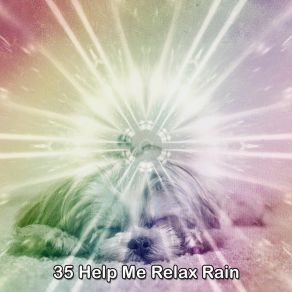 Download track Rain Cloud Burst Meditation Rain Sounds