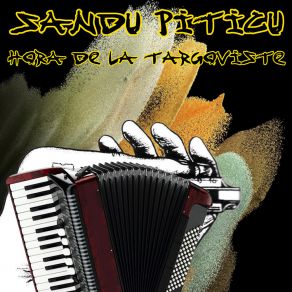 Download track Hora Din Targoviste Sandu Piticu