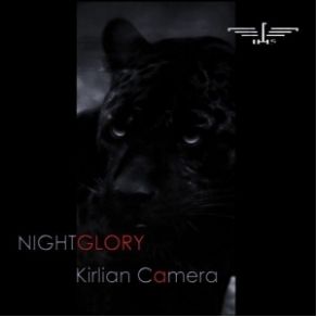 Download track Winged Child (Camera Version)  Kirlian Camera