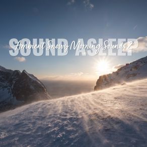 Download track Ambient Snowy Morning Sounds, Pt. 4 Elijah Wagner