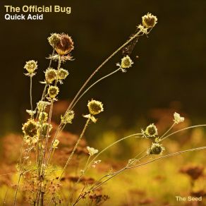 Download track Sextasis (Original Mix) The Official Bug