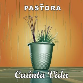 Download track Cuanta Vida Pastora