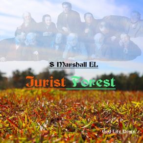 Download track Jurist Forest S Marshall El