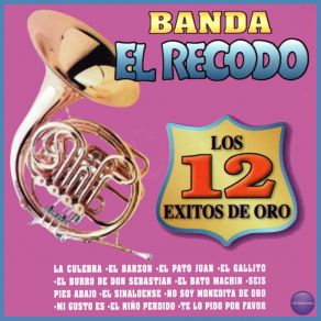 Download track El Pato Juan Banda El Recodo