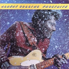 Download track I Got A Problem Albert Collins