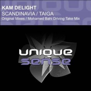 Download track Taiga (Original Mix) Kam Delight