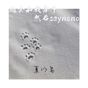 Download track 她会和我分手然后saynono (Beat) 夏以岛The Beat