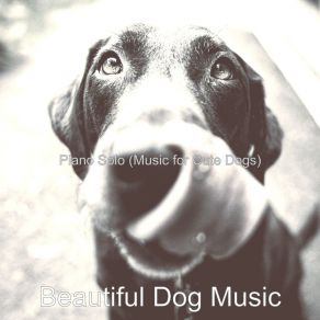 Download track Smart Cute Dogs Beautiful Dog Music