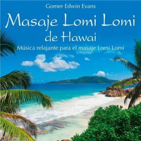 Download track Lomi Lomi Nui, Pt. 1 Gomer Edwin Evans