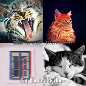 Download track Tasteful Music For Cats Cat Music Rhythms