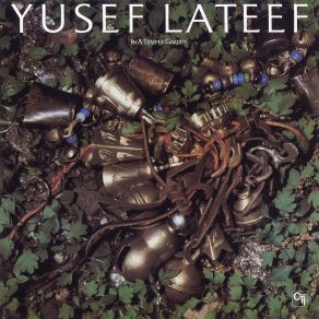 Download track Formative Impulses - Rain Yusef Lateef, Adam Rudolph