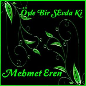Download track Aşkın İle Aşıklar Mehmet Eren
