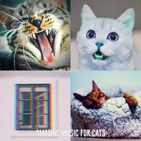 Download track Cuddly (Training Cats) Amazing Music For Cats