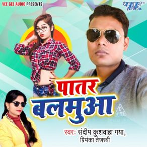 Download track Tere Bin Dil Nahi Lagta Sandeep Kushwaha