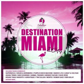 Download track Destination: Miami 2014 - The Poolside DJ Mix - Continuous DJ Mix Jaselle, Nebu Mitte