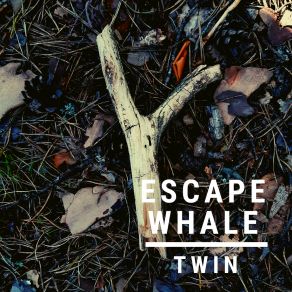 Download track Twin Escape WhaleEpilä