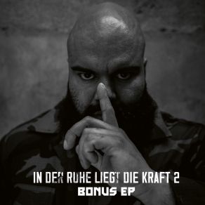 Download track Alles Probiert Animus