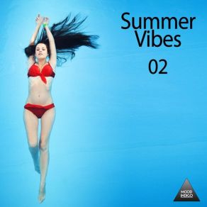 Download track Alphen (Beach Groove Mix) Nausicaa