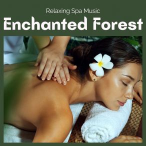 Download track Tranquil Mornings Relaxing Spa Music