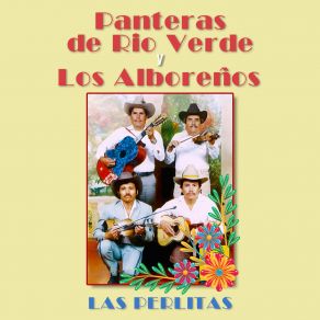 Download track San Dieguito Los Alboreños