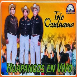 Download track La Azucena Trio Ozuluama