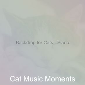 Download track Number One Cats Cat Music Moments