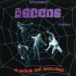 Download track Pictures And Designs (Stereo) The Seeds