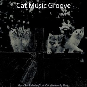 Download track Sultry Ambiance For Kittens Cat Music Groove