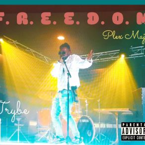 Download track Green Light Plex MajorErwin Dollar