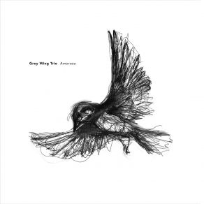 Download track Beautiful Insomnia Grey Wing Trio