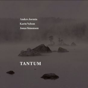 Download track Tantum Ergo Sacramentum Anders Jormin, Jonas Simonson, Karin Nelson