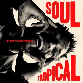 Download track Vansé Carnival David Walters