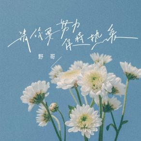 Download track 请你要努力保持热爱 (伴奏) 野哥