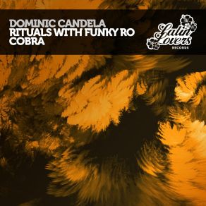 Download track Cobra (Extended Mix) Dominic Candela