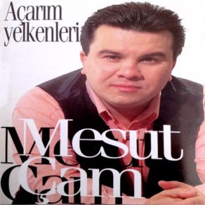 Download track Gitmek Varmıydı Mesut Çam