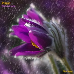 Download track Exorcism001 (Original Mix) Priest