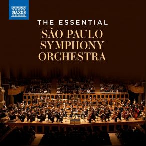 Download track Symphony No. 7 In C-Sharp Minor, Op. 131 II. Allegretto - Allegro Sao Paulo Symphony Orchestra