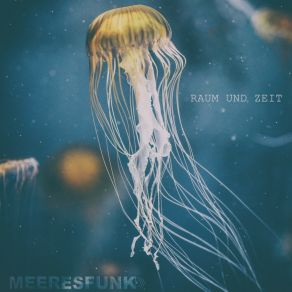 Download track Momente Meeresfunk