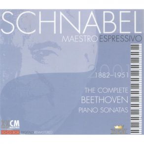 Download track 07. Beethoven Sonata No 05 In C Op 10.1 III Finale. Prestissimo - Artur Schnabel... Ludwig Van Beethoven