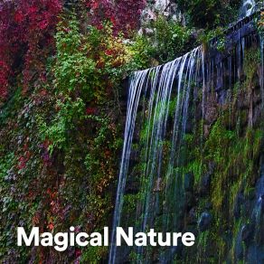 Download track Tidal Wave Of Being Nature Sounds Artists