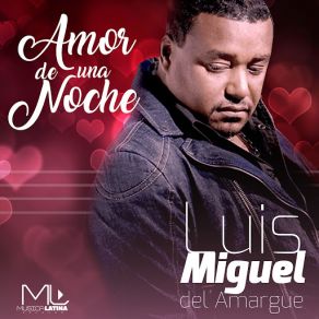 Download track No Puedo Dejar De Quererte Luis Miguel Del Amargue