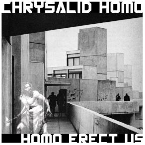 Download track Awkward In Lead Chrysalid Homo