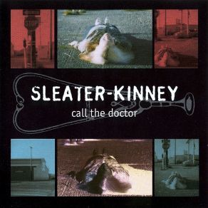 Download track I Wanna Be Your Joey Ramone Sleater - Kinney