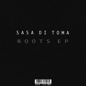 Download track Strange (Original Mix) Sasa Di Toma