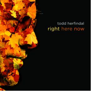 Download track Right Here Now Todd Herfindal