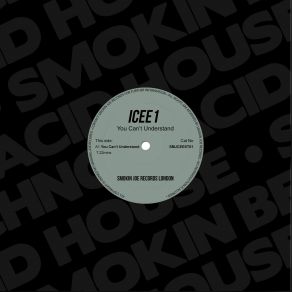 Download track You Can't Understand (Original Mix) Icee1