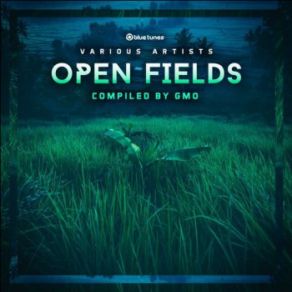 Download track Bells Of Freedom (Radio Edit) GmoDense