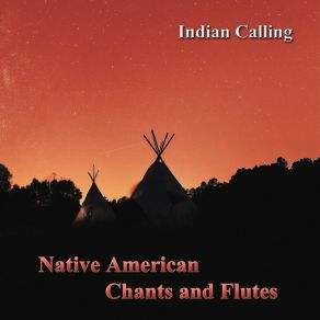 Download track Dances With Wolves (Native American Music) Indian Calling